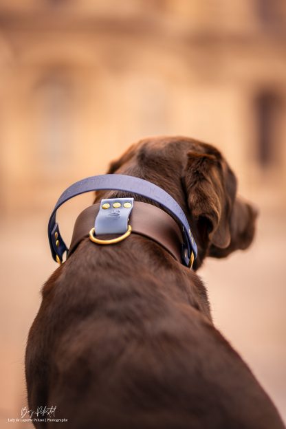 Signature Max 50mm (Best Seller) – Image 2