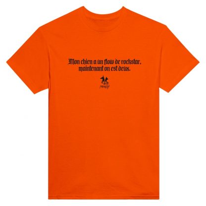 Le Rockstar – Image 14